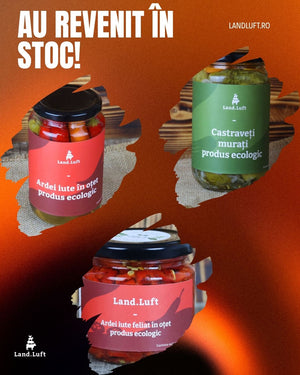 Ce tip de gurmand ești? Descoperă produsele BIO revenite în stoc