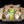 Pachet Hot Dog
