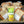 Pachet Hot Dog